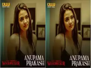 First On Net-Woodpecker Episode 3