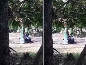 Exclusive- Desi Clg Lover OutDoor Sex
