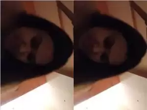 Today Exclusive- Sexy Desi Girl Ridding Lover Dick