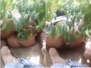 Today Exclusive- Paki Randi OutDoor Fucked