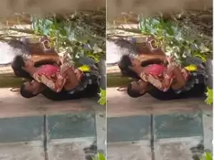 Today Exclusive- Lover OutDoor Fucking