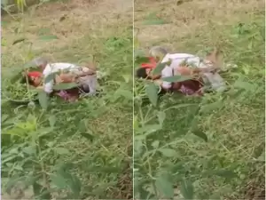 Today Exclusive- Crazy Old man OutDoor Fucking