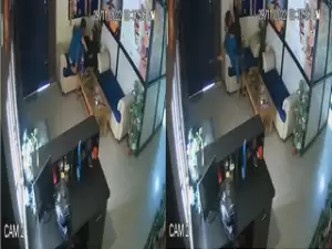 Today Exclusive- Desi Lover Fucking Capture In CCTV part 2