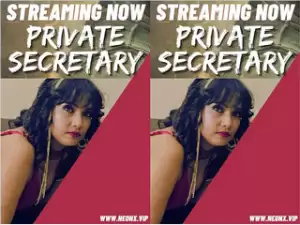PRIVATE SECRETARY