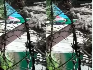 Today Exclusive- Desi Clg Lover OutDoor Kissing And Romance PArt 1
