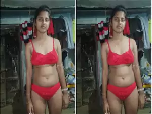 Desi Lover Blowjob and Fucking Part 2
