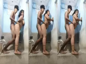 Desi Lover Standing Fucking