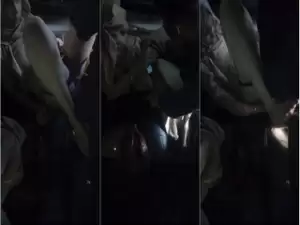 Desi Girl Pussy Licking And Fucking