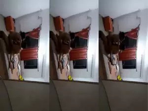 Desi Wife Romance and Fucking