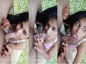 Desi Vlg Bhabhi Blowjob