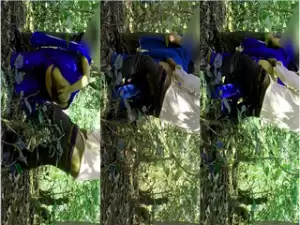 Desi Cpl Fucking In Jungle
