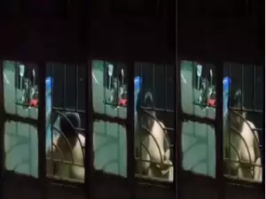 Desi Girl Boobs Video Captue