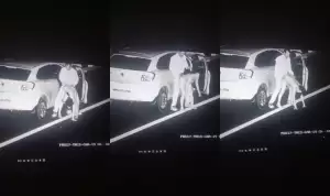 Desi Cpl Fucked In Road
