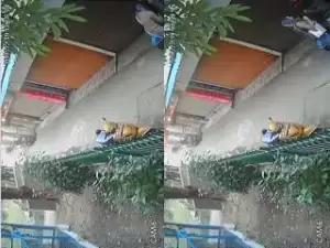 Exclusive- Desi Lover Outdoor Romance And Blowjob Capture On CCTV
