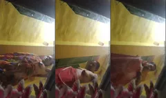 Horny Desi Bhabhi Wearing Cloths