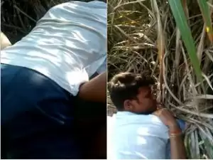 Desi Clg lover Outdoor Sex
