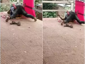 Exclusive- Desi Randi Fucked In Railway Station Bridge