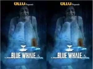 Today Exclusive-  BlueWhale Episode 2