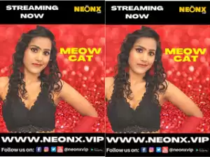 Today Exclusive-MEOW CAT