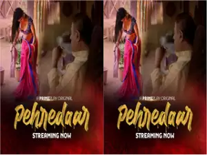 Today Exclusive- Pehredaar Episode 2