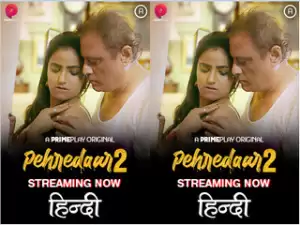 First On Net -Pehredaar 2 Episode 3
