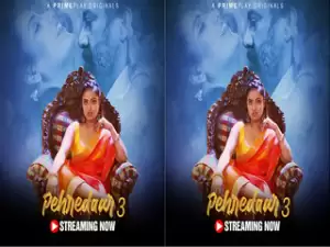 First On net -Pehredaar S3 Episode 3