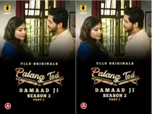 First On Net -Palang Tod (Damaad Ji – Season 2) – Part 2 Episode 4