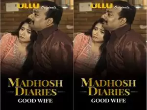 First On Net -Madhosh Diaries ( Good Wife )