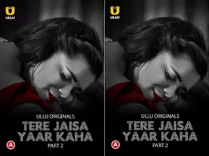 Today Exclusive- Tere Jaisa Yaar Kaha – Part 2 Episode 6