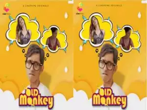 First On Net -Old Monkey