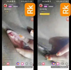 Exclusive - Chamet teen girl show fun 165